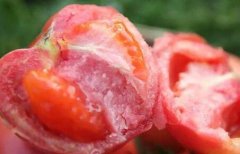 為何建議超市配備食品安全檢測(cè)儀？